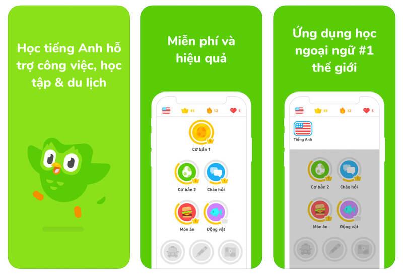 Mua tài khoản duolingo