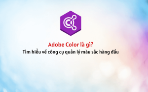 Adobe Color là gì