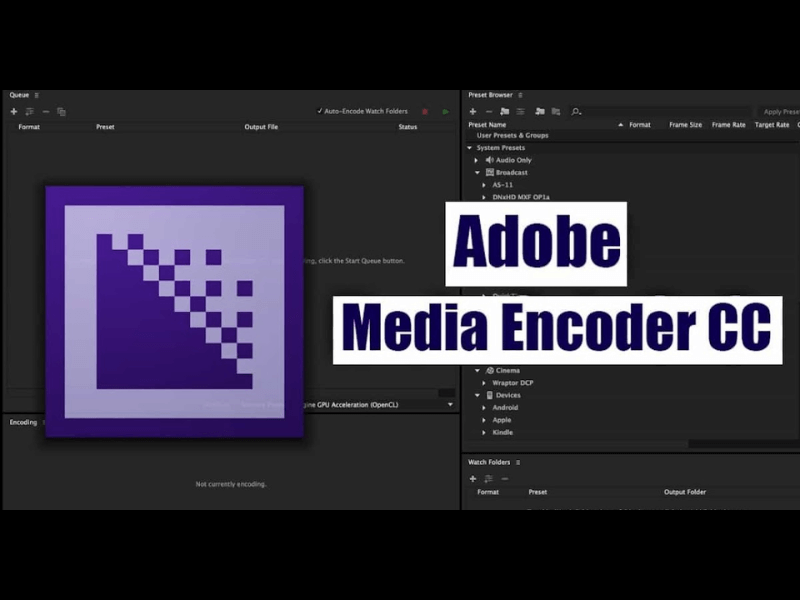 Adobe Encoder là gì?