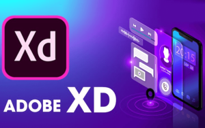 adobe xd là gì