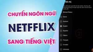 cách chỉnh tiếng việt netflix