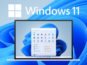 cách sử dụng windows 11