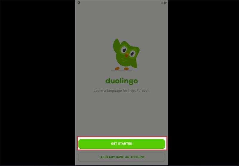 cách tải Duolingo về máy tính