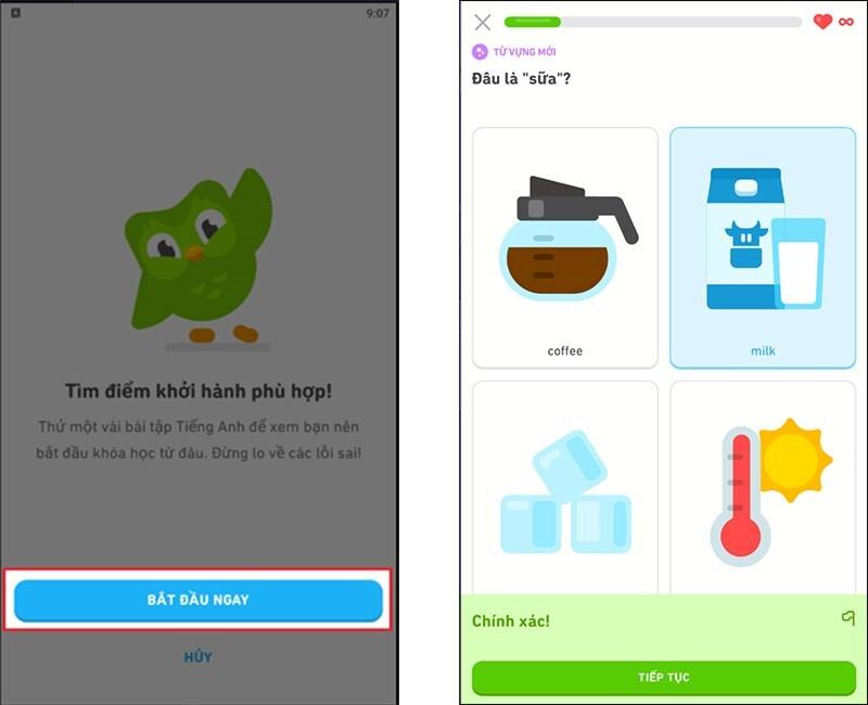 cách tải Duolingo về máy tính