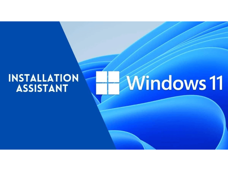 cách tải windows 11