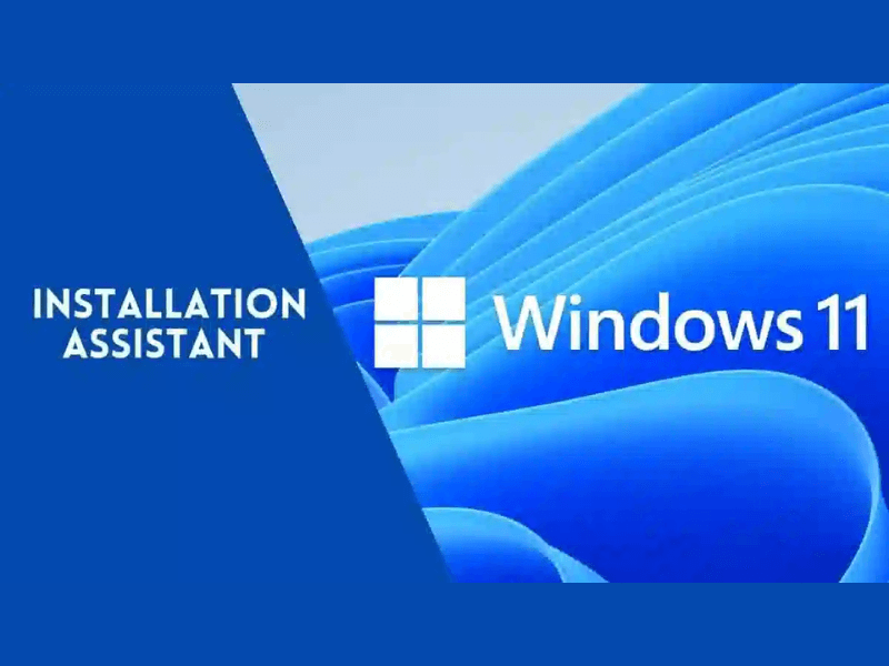 cách update windows 11