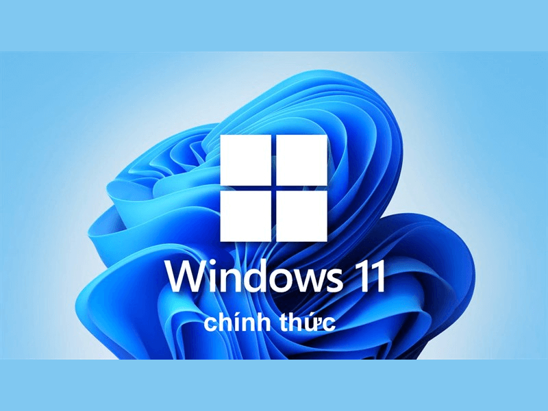 cách update windows 11