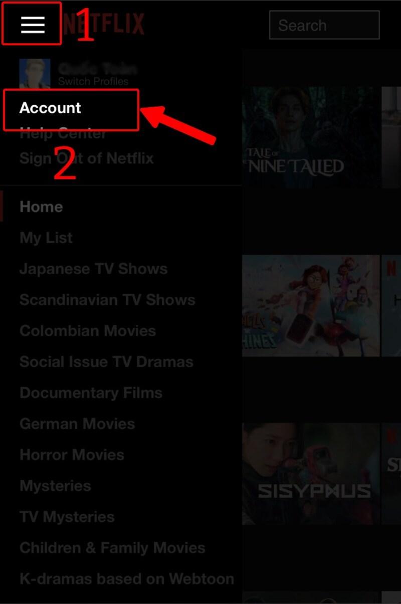 Đổi ngôn ngữ Netflix