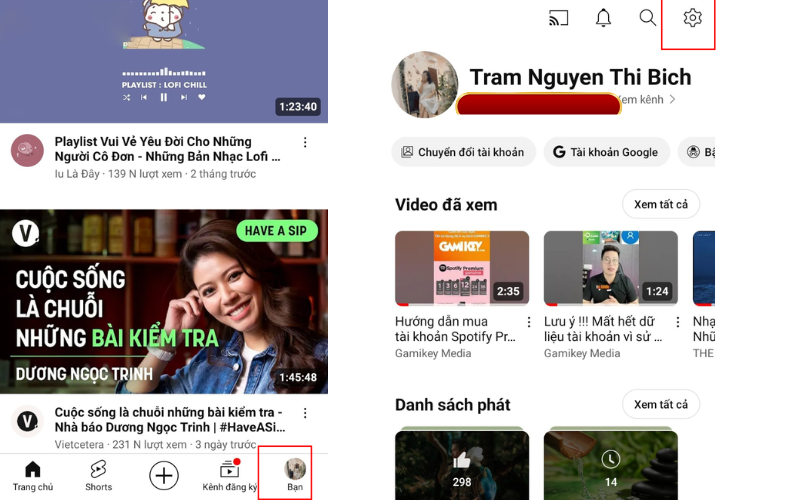 Lỗi Picture in Picture trên YouTube Premium không hoạt động