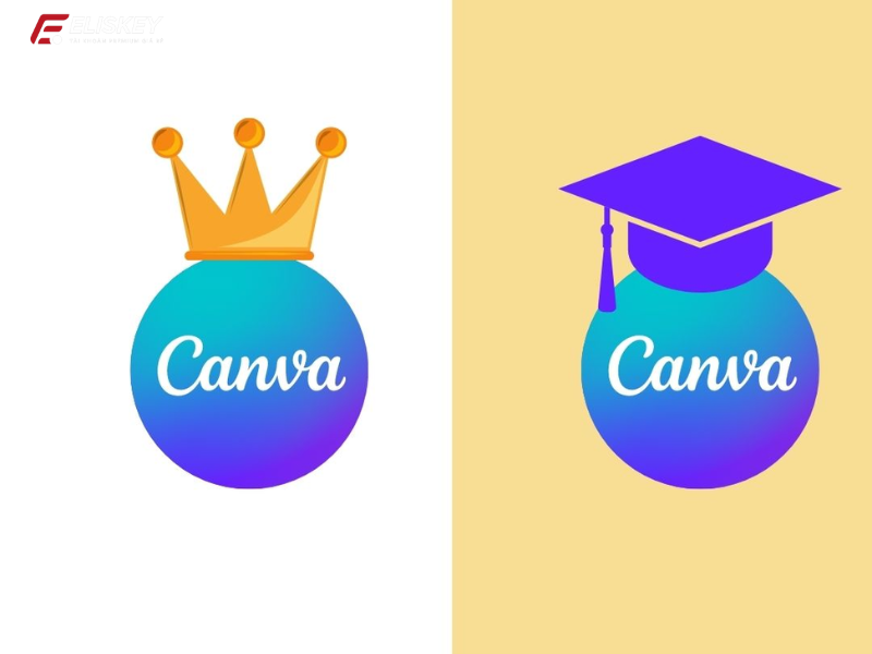 So sánh Canva Pro và Canva Edu