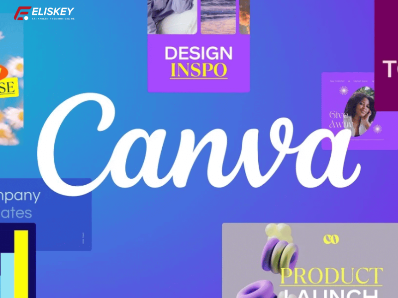 So sánh Canva Pro và Canva Edu