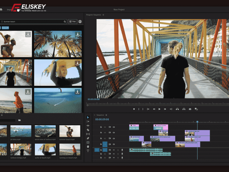 Tài khoản Storyblocks