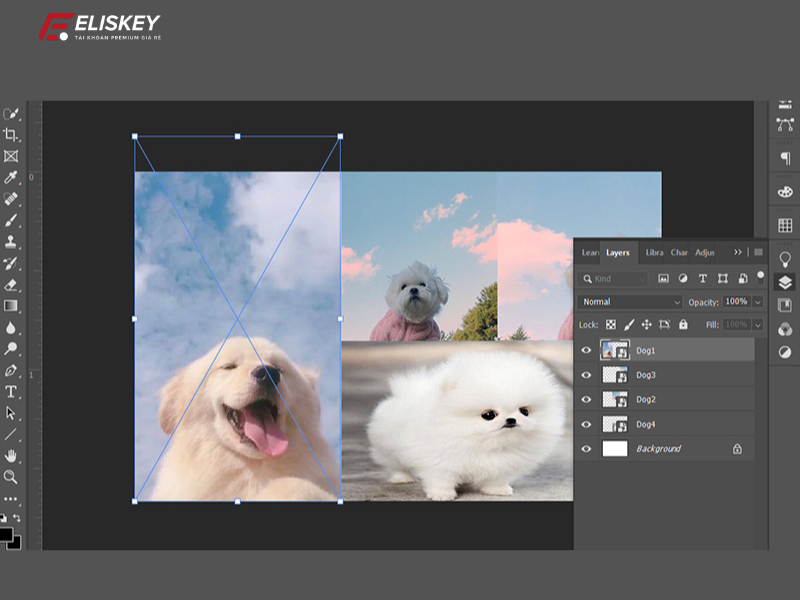 cách ghép ảnh bằng Adobe Photoshop