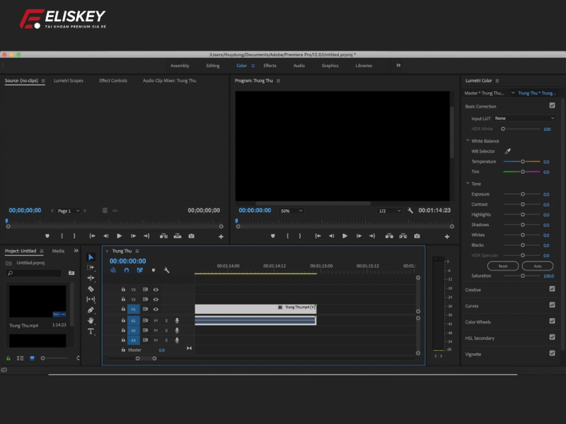 chỉnh màu trong adobe premiere