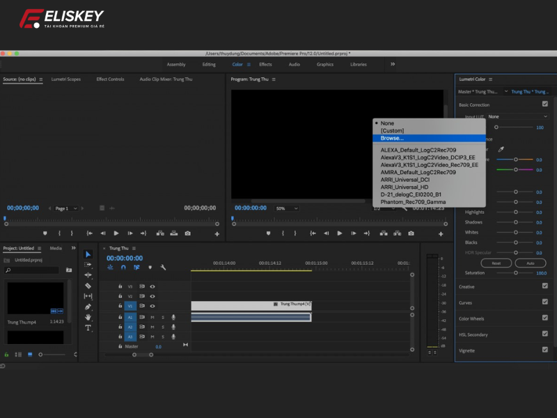 chỉnh màu trong adobe premiere