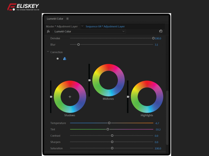 chỉnh màu trong adobe premiere