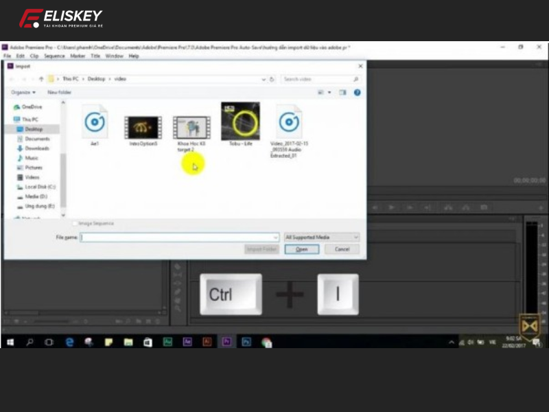 Hướng dẫn Crop video bằng Adobe Premiere