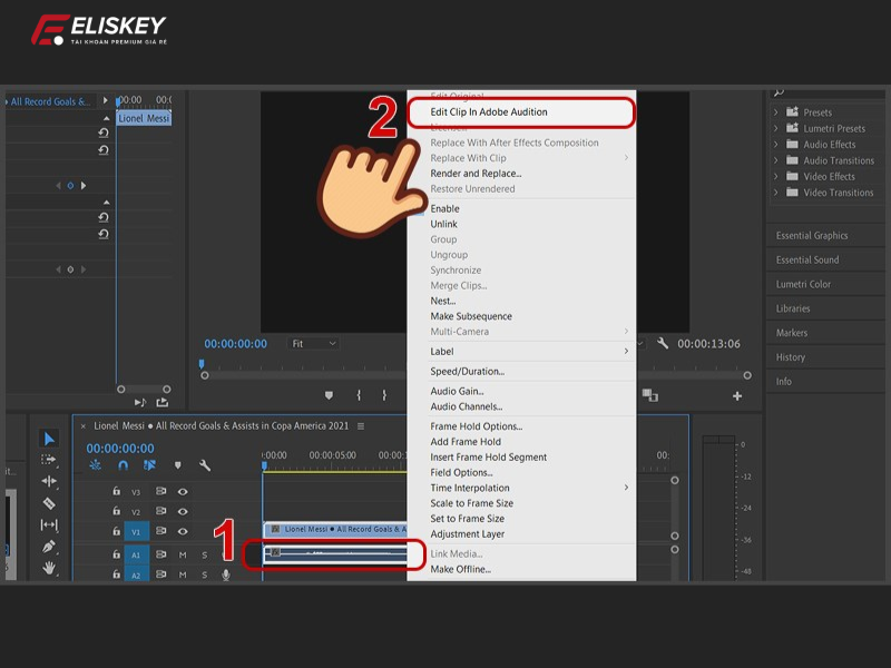 lọc tạp âm trong Adobe Premiere