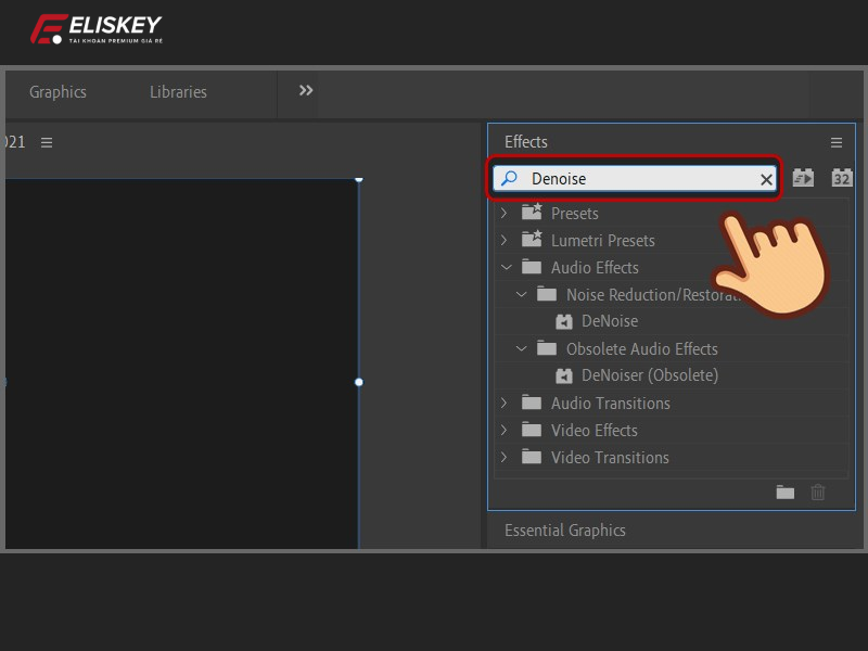 lọc tạp âm trong Adobe Premiere
