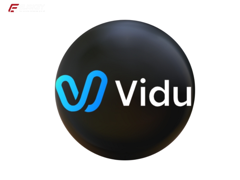 Tài khoản Vidu